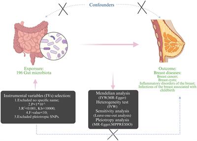 Exploring the relationship between gut microbiota and breast diseases using Mendelian randomization analysis